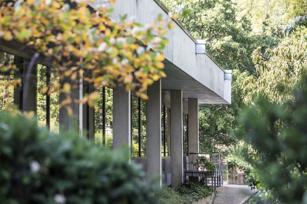 Foto der Immobilie (64030)