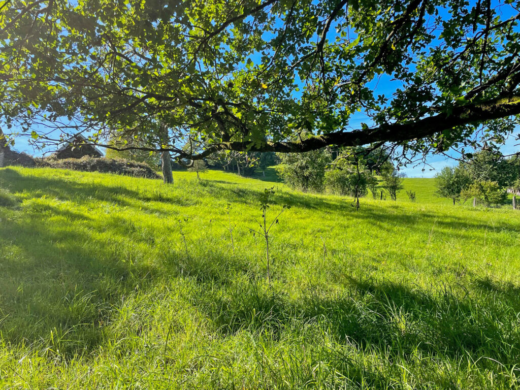 Foto der Immobilie (53649)