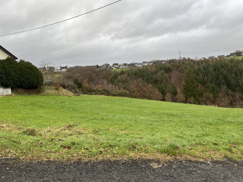 Foto der Immobilie (53692)