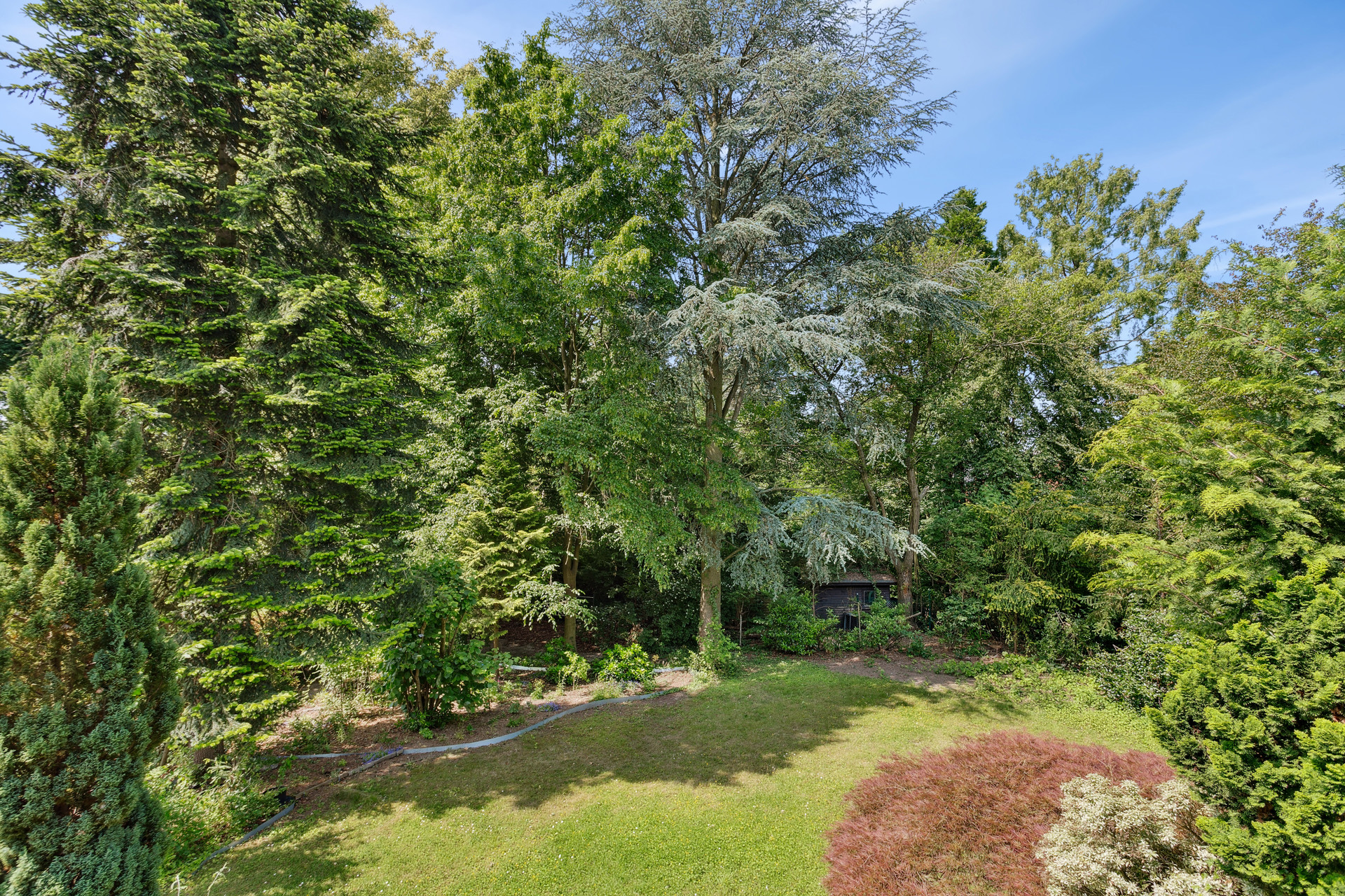 Foto der Immobilie (58717)