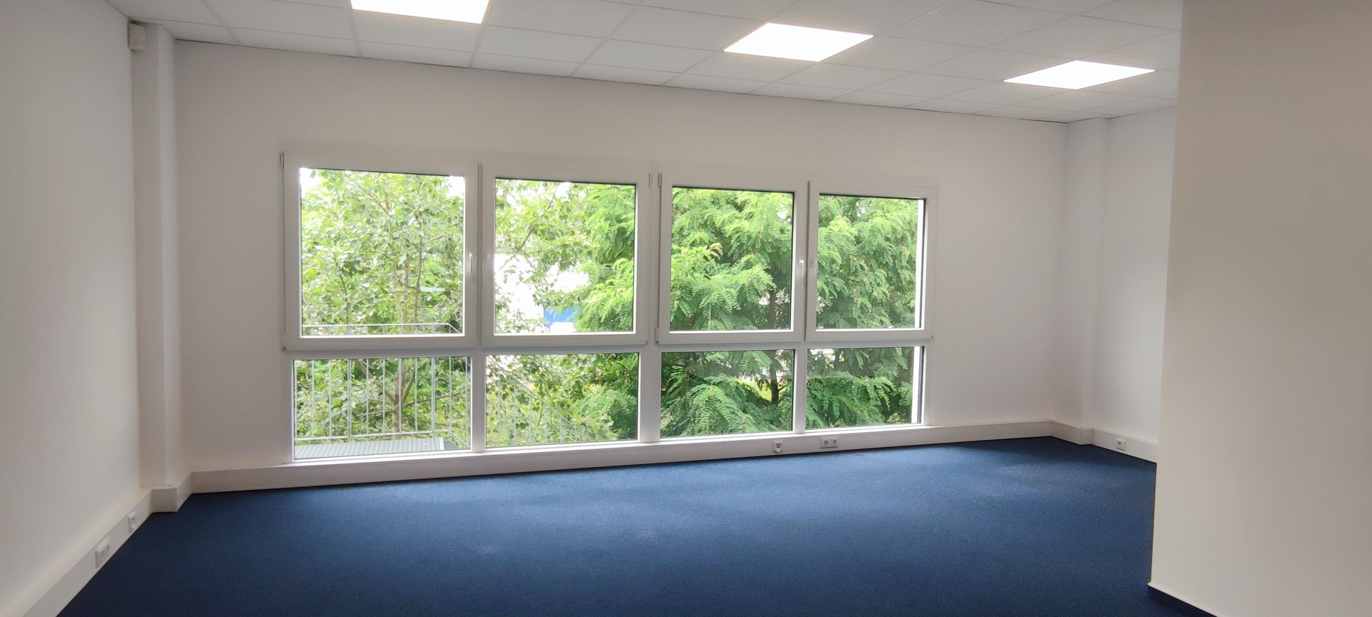 Foto der Immobilie (57876)