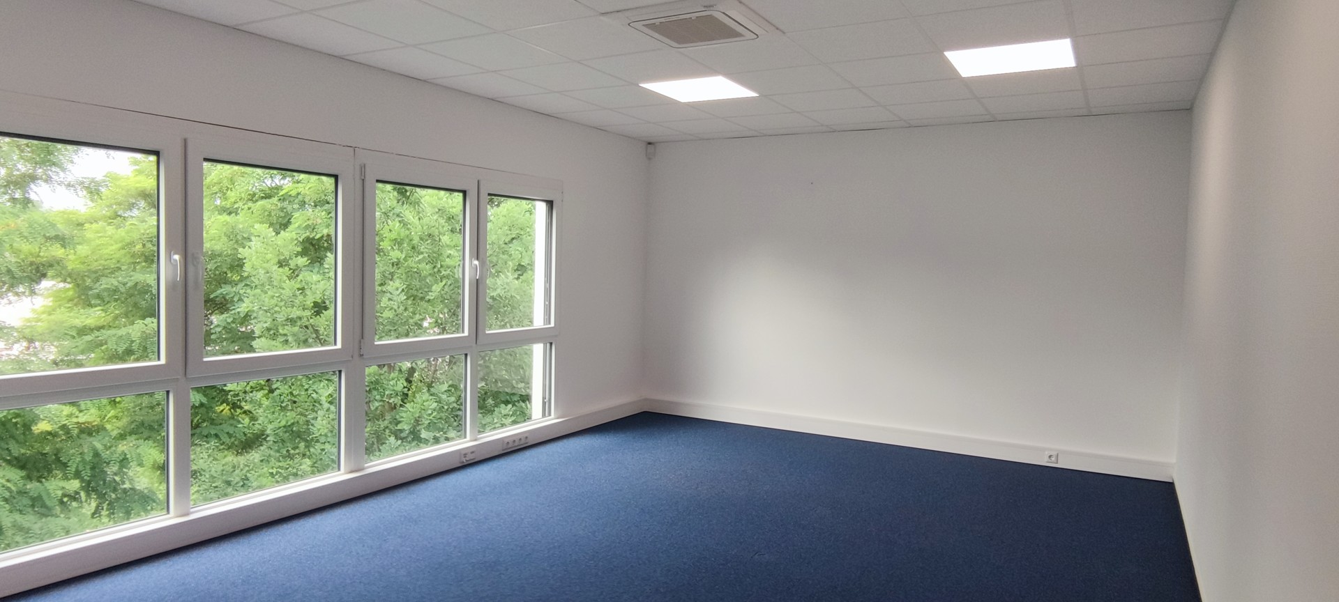 Foto der Immobilie (57878)