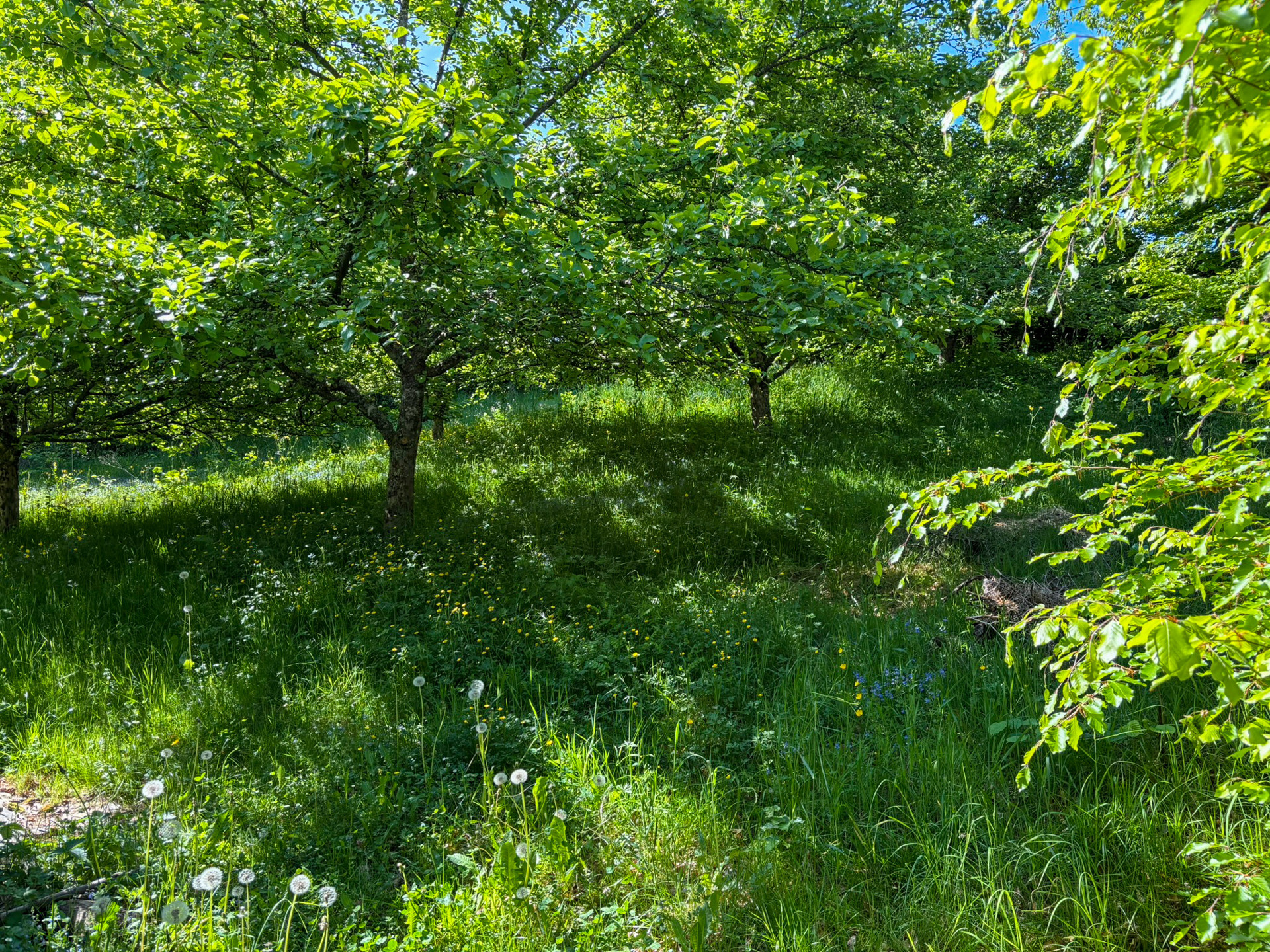separates Gartengrundstück