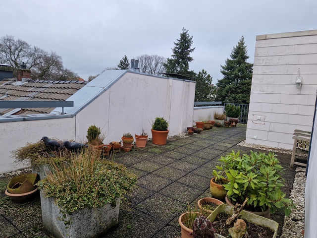 Foto der Immobilie (77867)