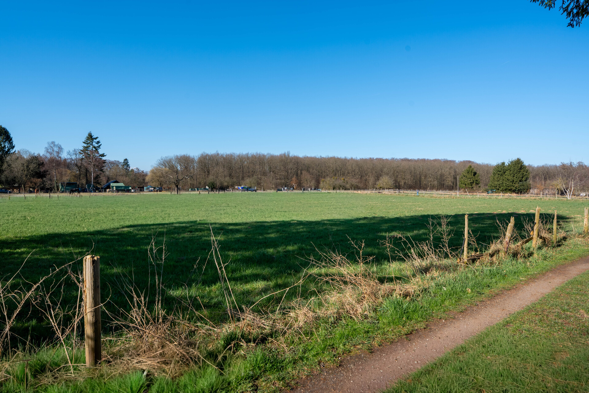 Direkter Zugang zu Feldern