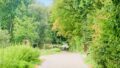 Bachtal
