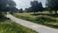 schöne Radwege
