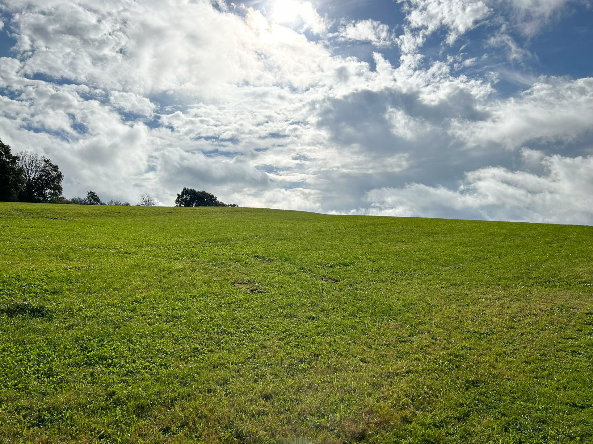 Foto der Immobilie (83813)