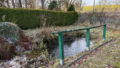 Teich