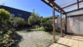 Blick in den sonnigen Garten