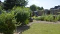 Garten im Sommer