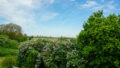 ... mit toller Aussicht