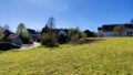 Grünfläche