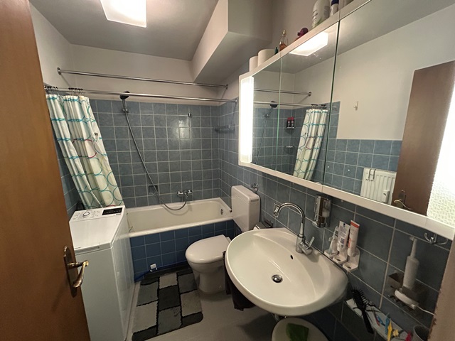 Foto der Immobilie (90483)