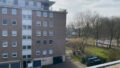 Ansicht Haus