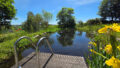 Teich