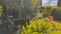 Teich