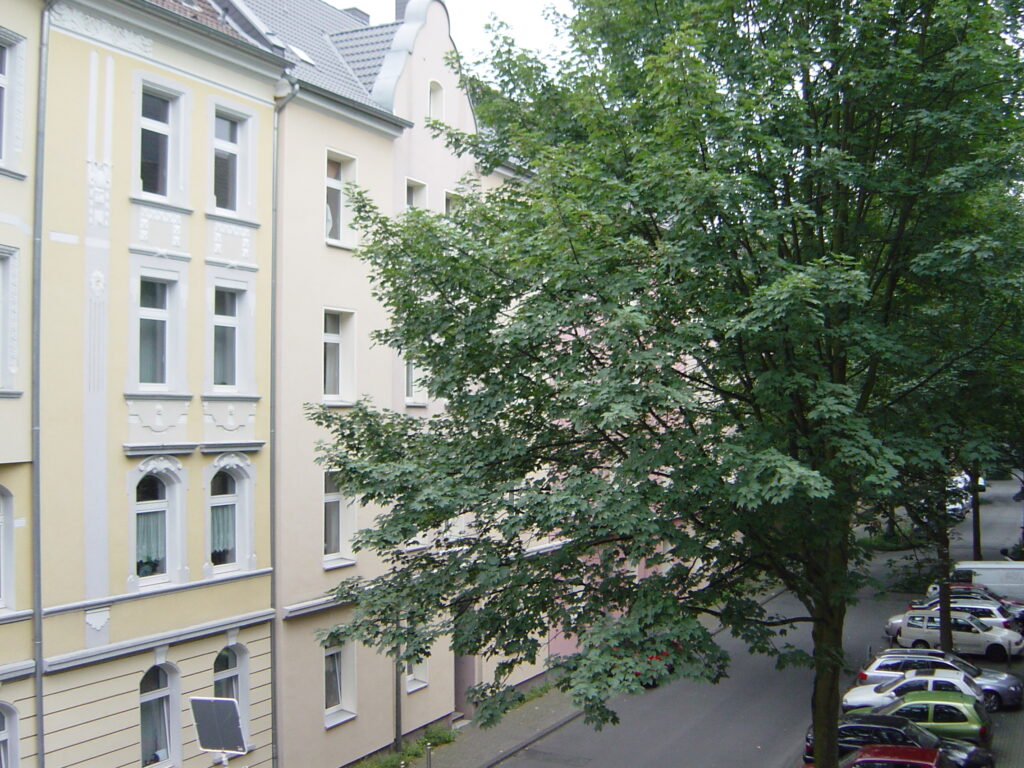 Foto der Immobilie (105066)