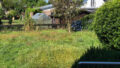 Blick in den Garten