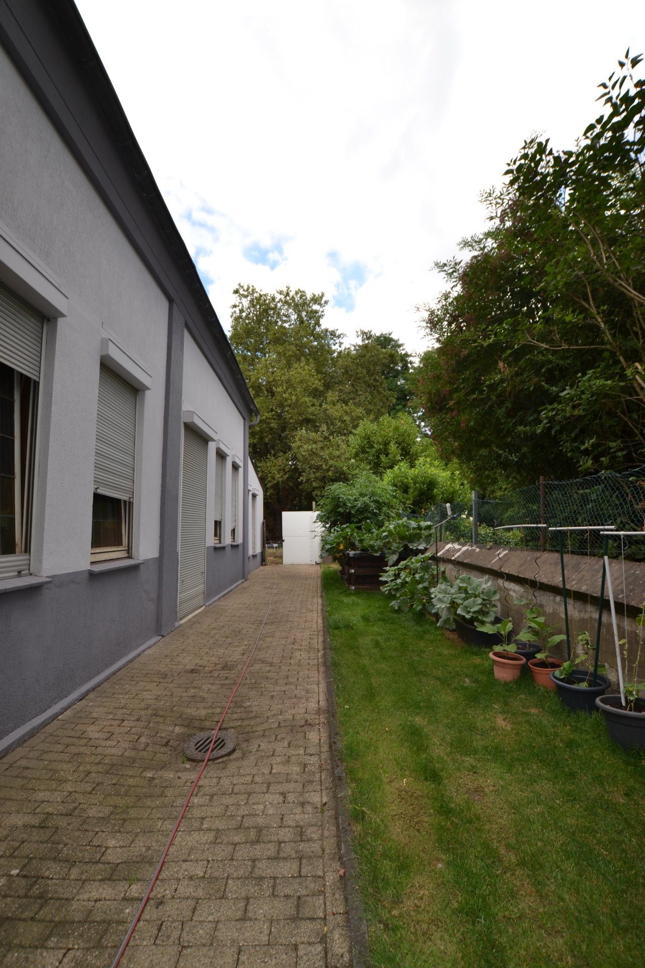 Foto der Immobilie (104544)