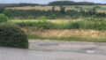 Blick in die Weite