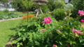 Traumgarten