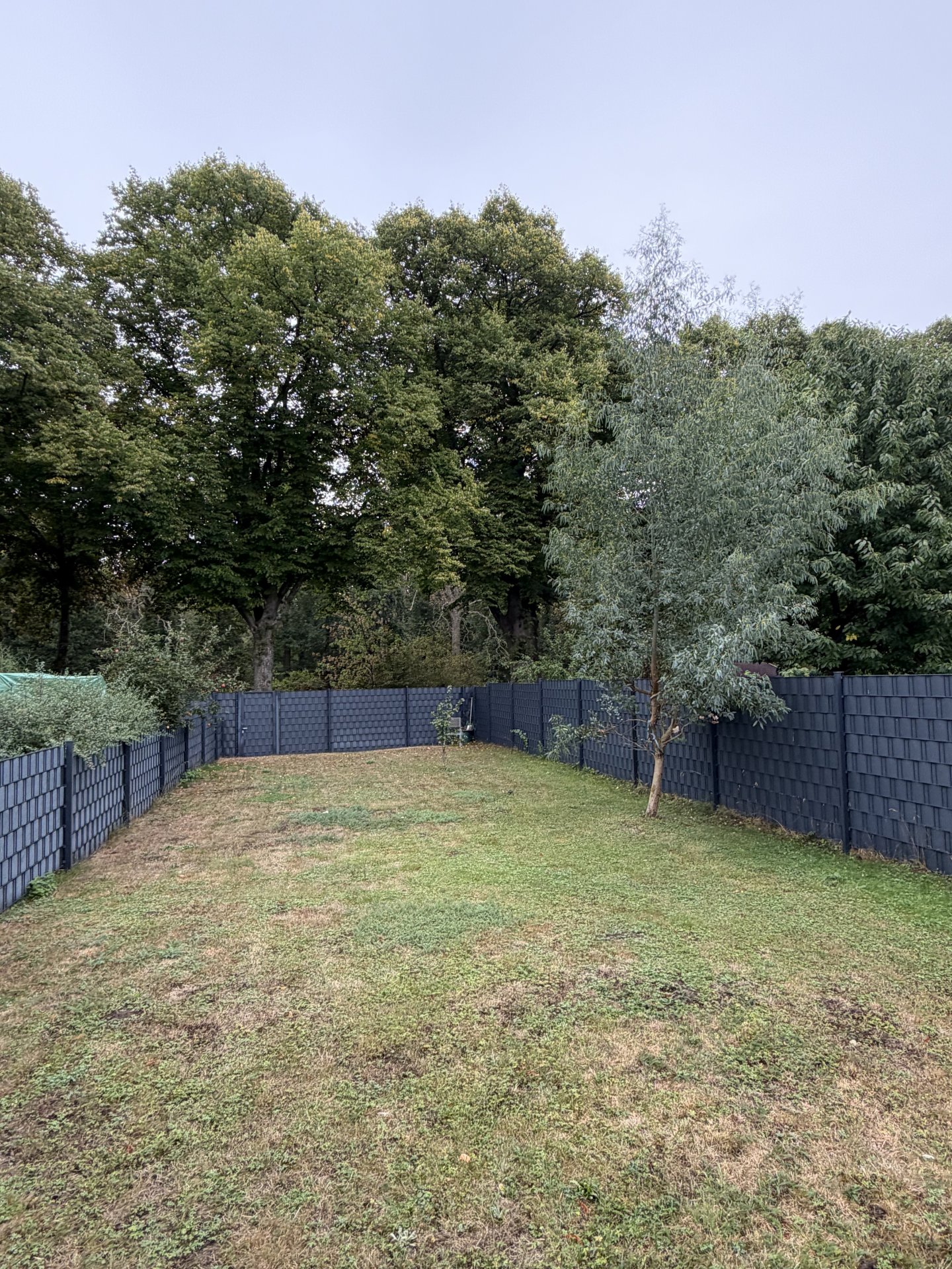 Neuwertige Zaunanlage