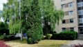 Foto der Immobilie (116223)