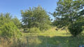 sep. Gartenparzelle