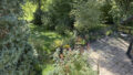 Blick auf Garten und Terrasse
