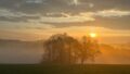 Abendstimmung